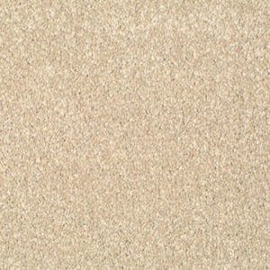 Allied Baltimore Suede